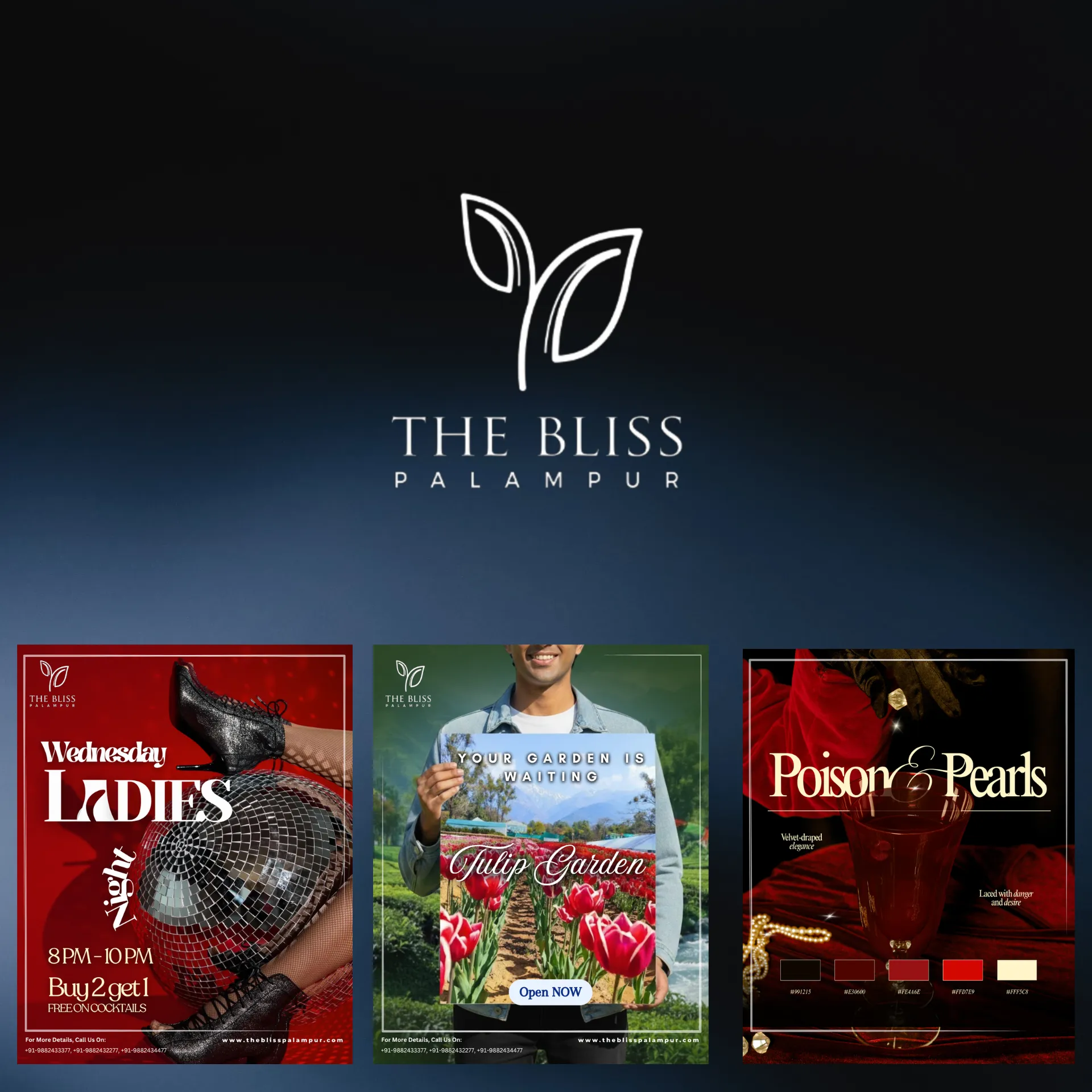 The Bliss Palampur — Ongoing
Digital Growth Partnership